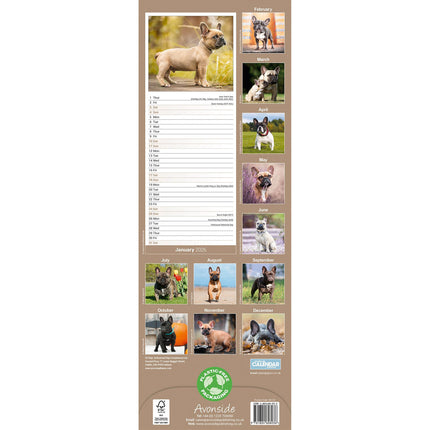 Avonside Franse Bulldog Kalender 2027 Slimline