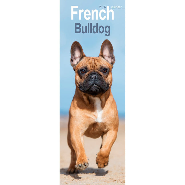 Avonside Franse Bulldog Kalender 2027 Slimline