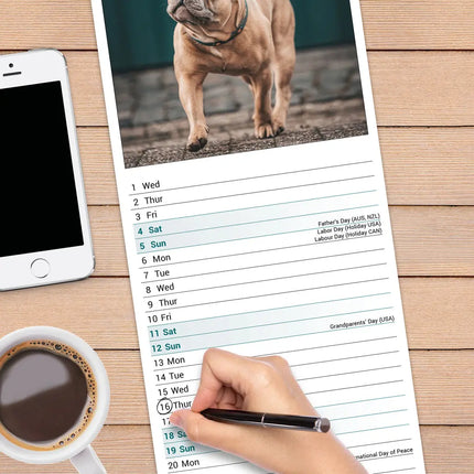 Avonside Franse Bulldog Kalender 2027 Slimline