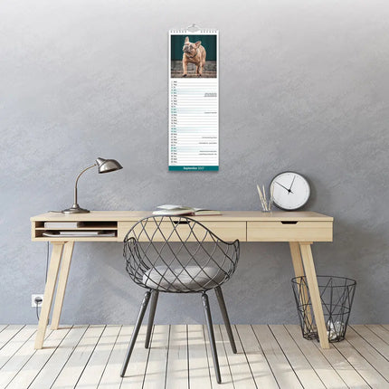 Avonside Franse Bulldog Kalender 2027 Slimline