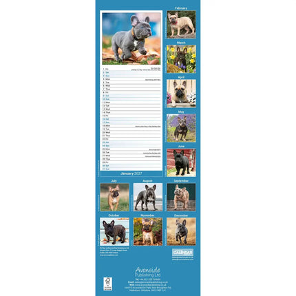 Avonside Franse Bulldog Kalender 2027 Slimline