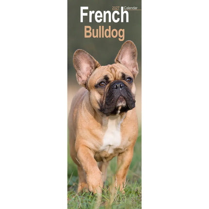 Avonside Franse Bulldog Kalender 2027 Slimline