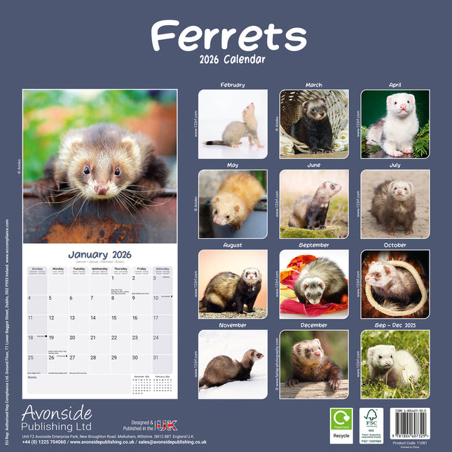 Avonside Fretten Kalender 2026