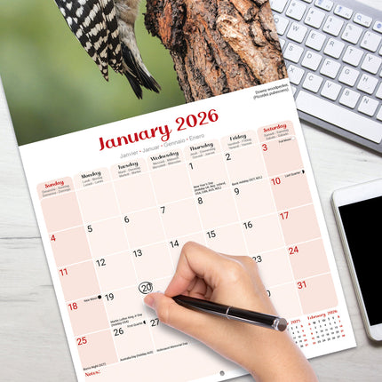 Avonside Garden Birds Kalender 2026