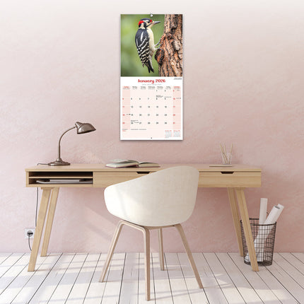 Avonside Garden Birds Kalender 2026