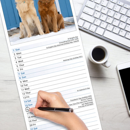Avonside Golden Retriever Kalender 2026 Slimline