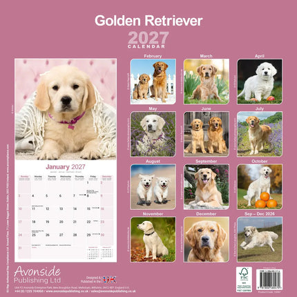 Avonside Golden Retriever Kalender 2027