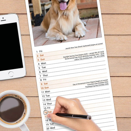 Avonside Golden Retriever Kalender 2027 Slimline