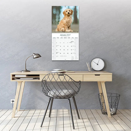 Avonside Goldendoodle Kalender 2027