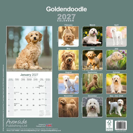 Avonside Goldendoodle Kalender 2027