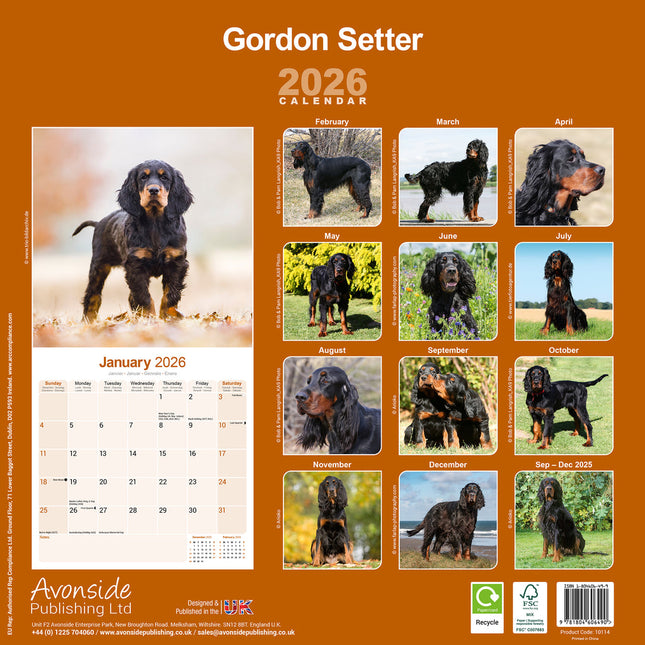 Avonside Gordon Setter Kalender 2026