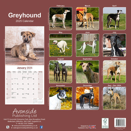 Avonside Greyhound Kalender 2025