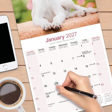 Avonside Greyhound Kalender 2027