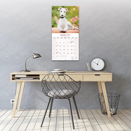 Avonside Greyhound Kalender 2027
