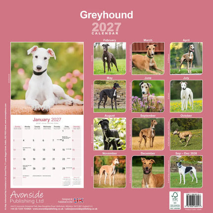 Avonside Greyhound Kalender 2027