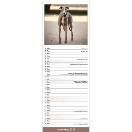 Avonside Greyhound Kalender 2027 Slimline