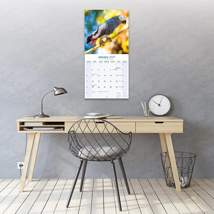 Avonside Grijze Roodstaart Kalender 2027