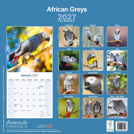 Avonside Grijze Roodstaart Kalender 2027