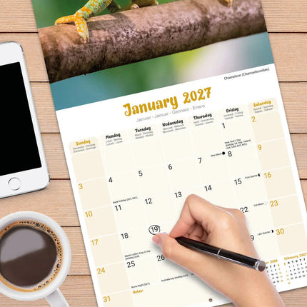 Avonside Hagedissen Kalender 2027