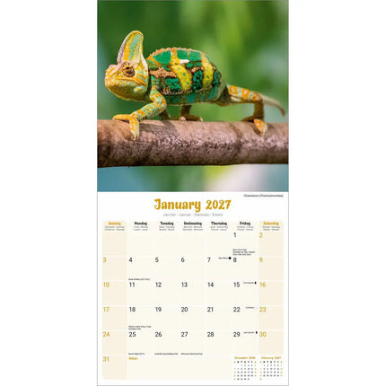 Avonside Hagedissen Kalender 2027