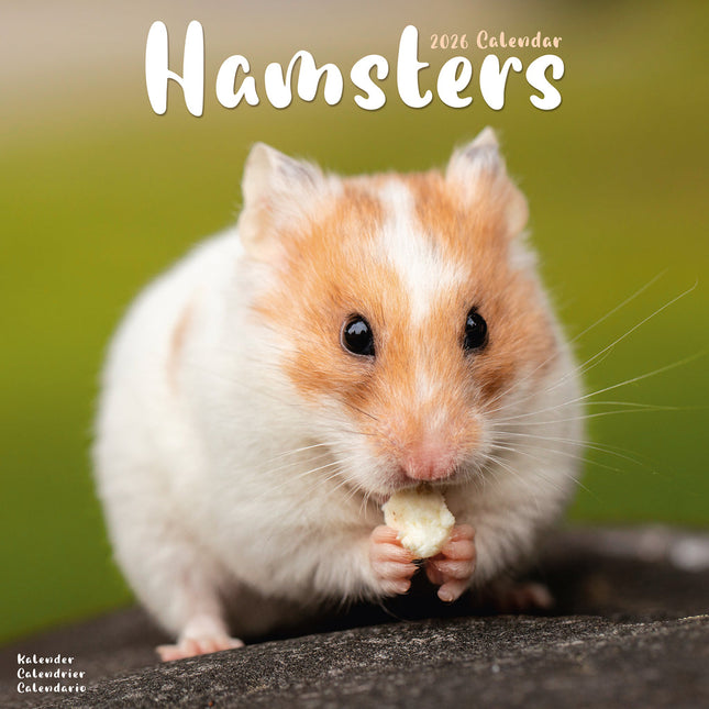 Avonside Hamster Kalender 2026