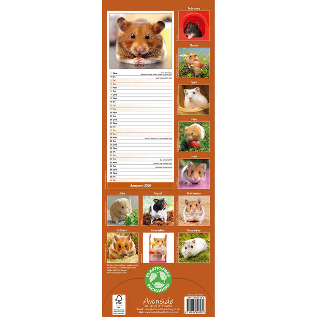 Avonside Hamster Kalender 2026 Slimline