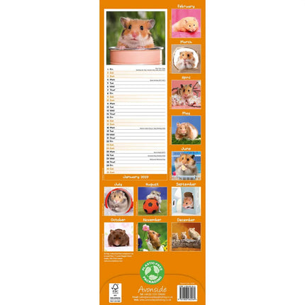 Avonside Hamster Kalender 2027 Slimline