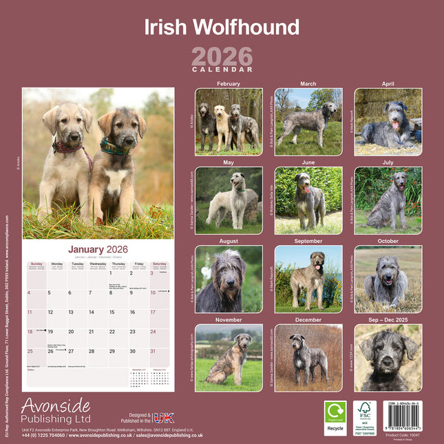 Avonside Ierse Wolfshond Kalender 2026