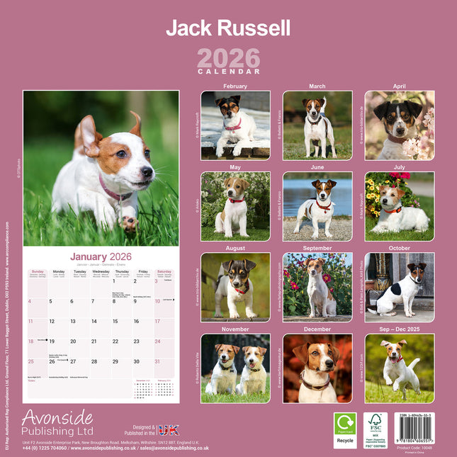 Avonside Jack Russell Terrier Kalender 2026