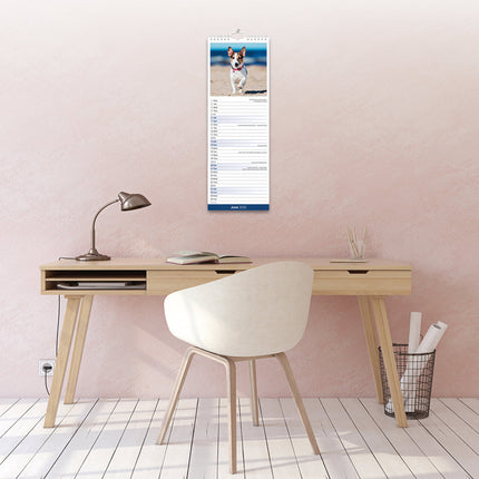 Avonside Jack Russell Terrier Kalender 2026 Slimline