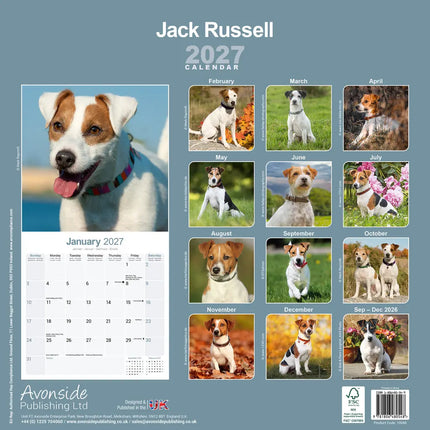 Avonside Jack Russell Terrier Kalender 2027