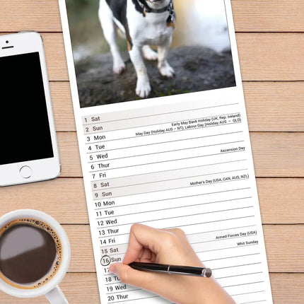 Avonside Jack Russell Terrier Kalender 2027 Slimline