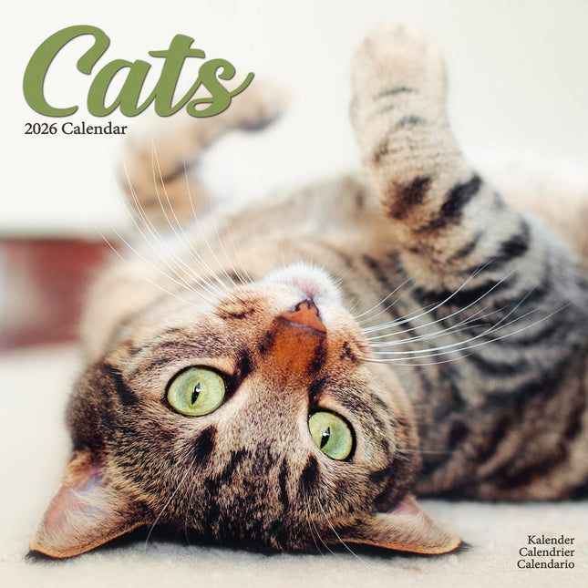 Avonside Katten Kalender 2026
