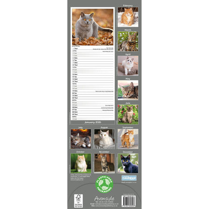 Avonside Katten Kalender 2026 Slimline