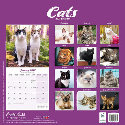 Avonside Katten Kalender 2027