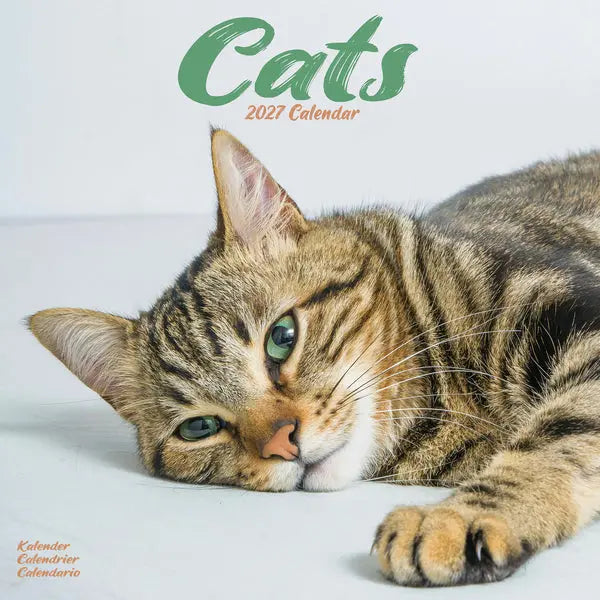 Avonside Katten Kalender 2027