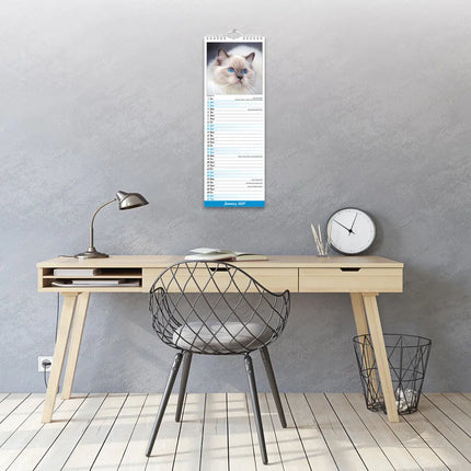 Avonside Katten Slimline Kalender 2027