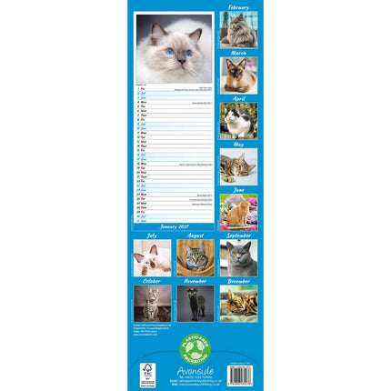 Avonside Katten Slimline Kalender 2027