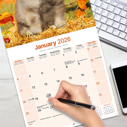 Avonside Keeshond Kalender 2026