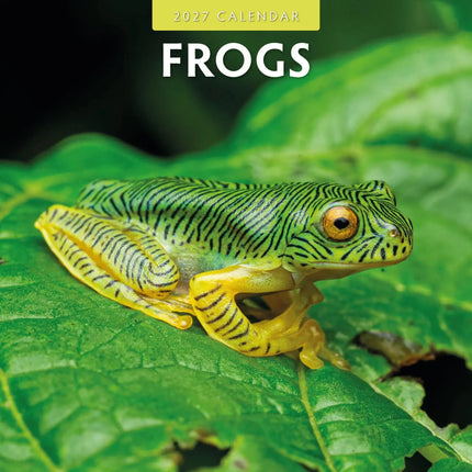 Avonside Kikker Kalender 2027