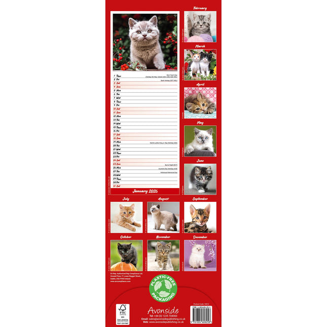 Avonside Kittens Kalender 2026 Slimline