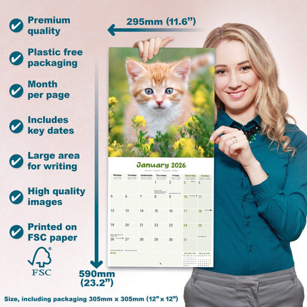 Avonside Kittens Kalender 2027