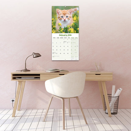 Avonside Kittens Kalender 2027