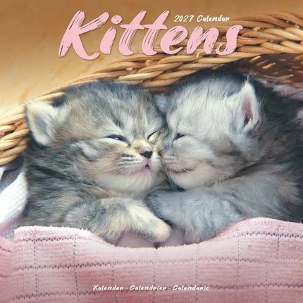 Avonside Kittens Kalender 2027