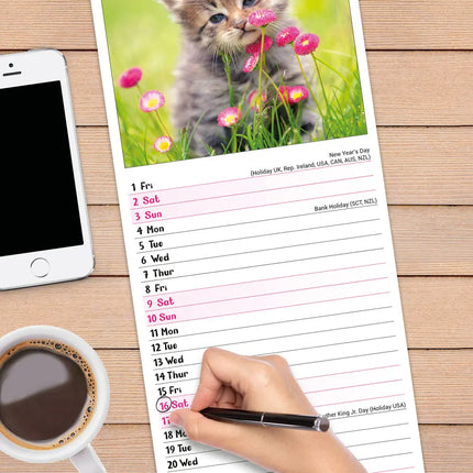 Avonside Kittens Kalender 2027 Slimline