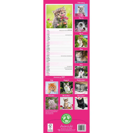 Avonside Kittens Kalender 2027 Slimline