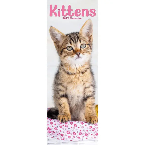 Avonside Kittens Kalender 2027 Slimline