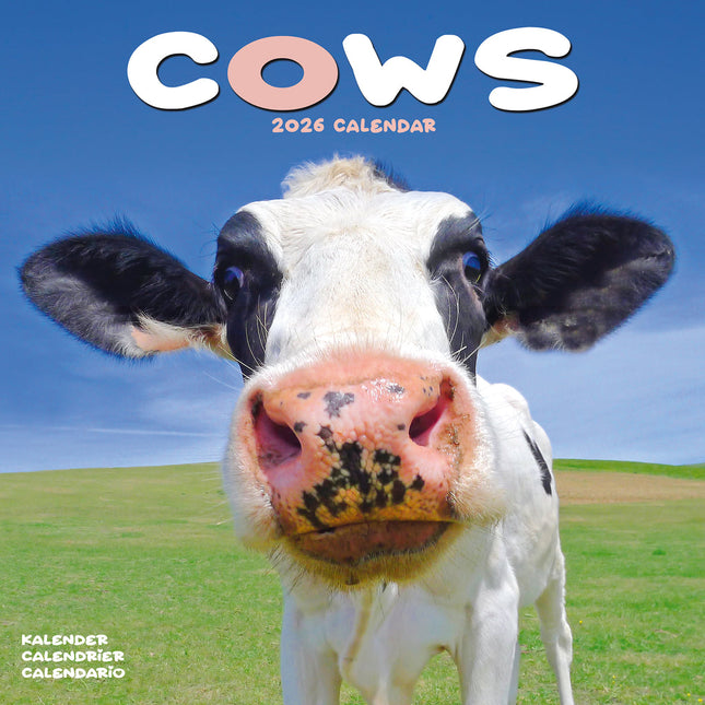 Avonside Koeien Kalender 2026