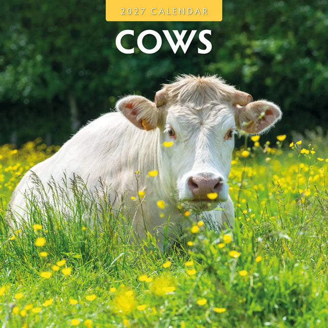 Avonside Koeien Kalender 2027