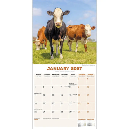 Avonside Koeien Kalender 2027